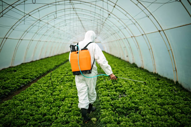 Best Best Pest Control Companies  in New London, OH
