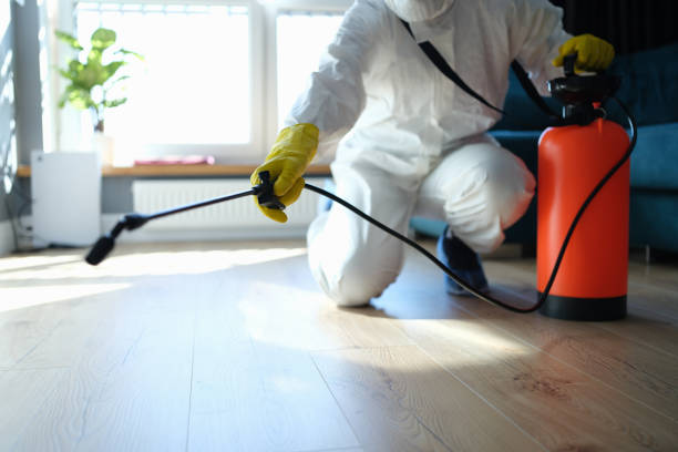 Best Local Pest Control Services  in New London, OH