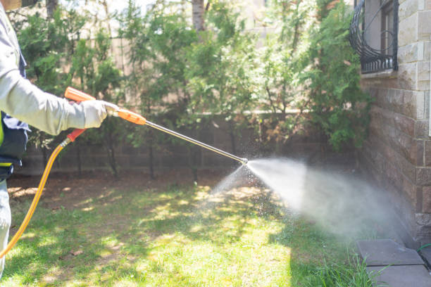 Best Bird Control  in New London, OH