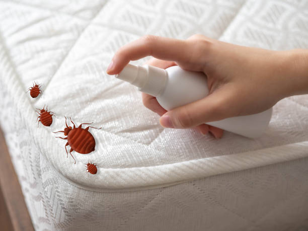 Best Pest Prevention Services  in New London, OH
