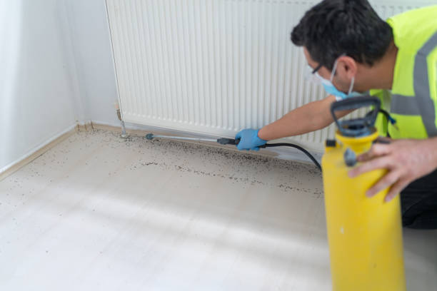 Best Termite Control Services  in New London, OH