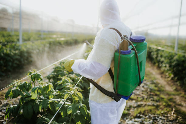 Best Affordable Pest Control Services  in New London, OH